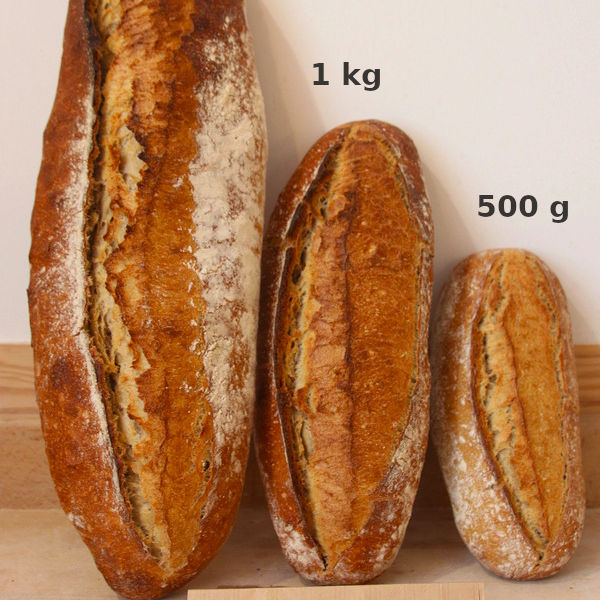 Bis 500g long - 0,5kg