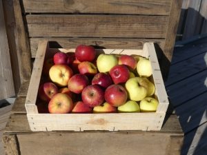 Pomme douce