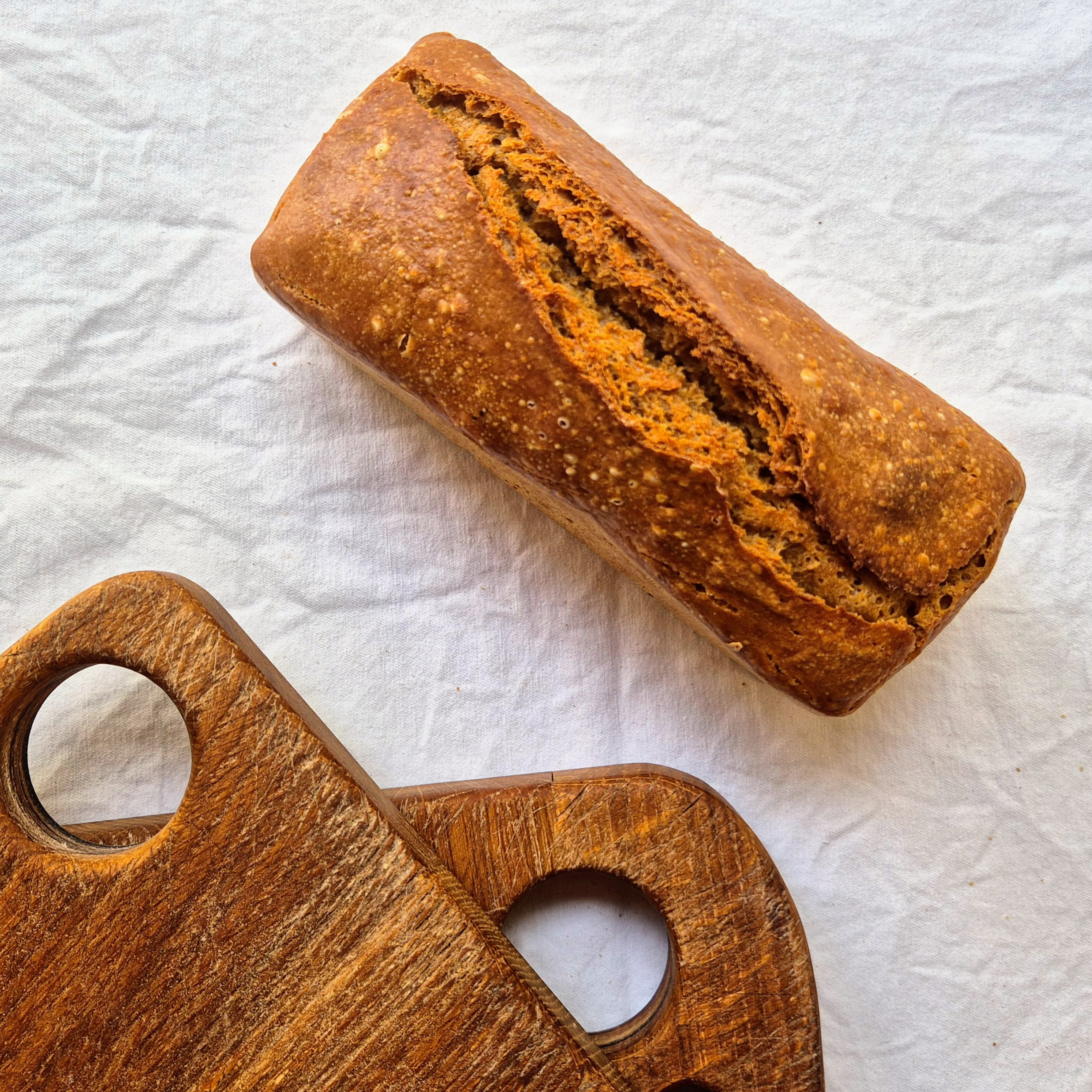 Engrain noir (Petit épeautre)