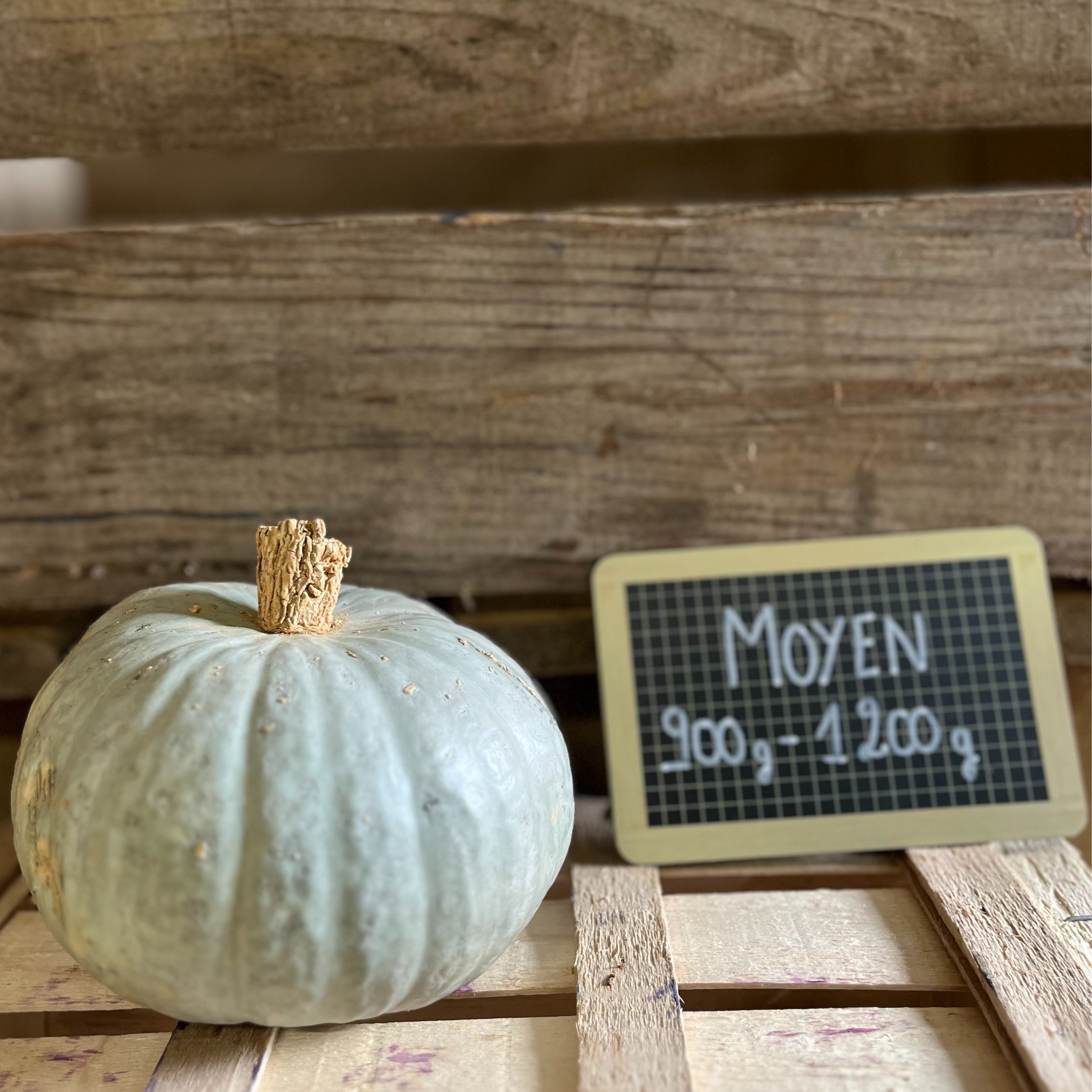 Bleue de Hongrie (moyen)