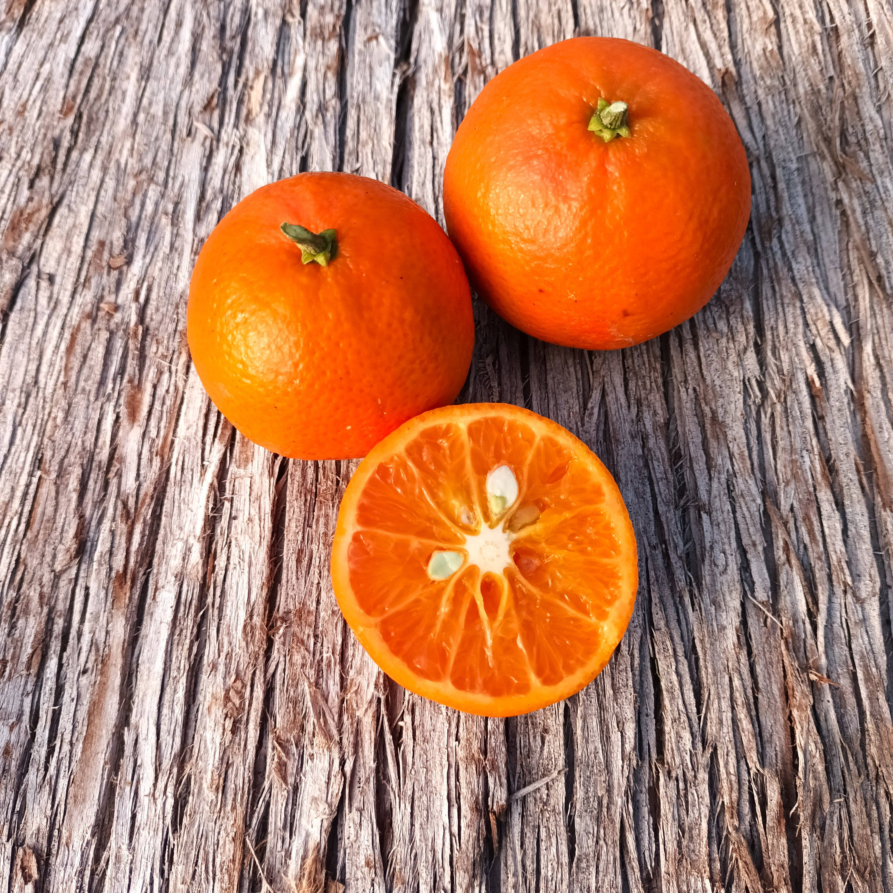 Tangor Murcott, mandarine miel