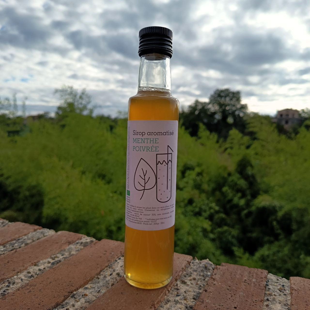 Sirop aromatisé • Menthe poivrée - 250ml