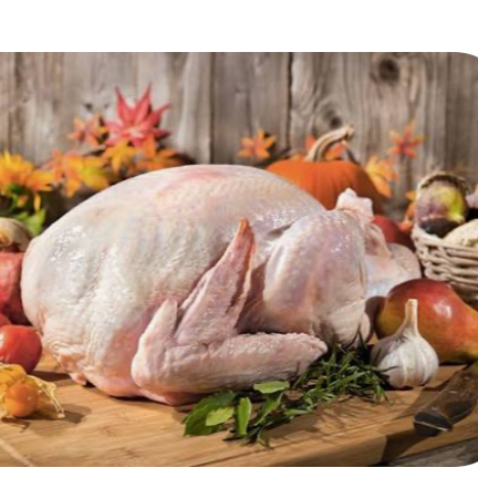 Dinde prête à cuire pour le 19 décembre