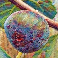 Pastillère