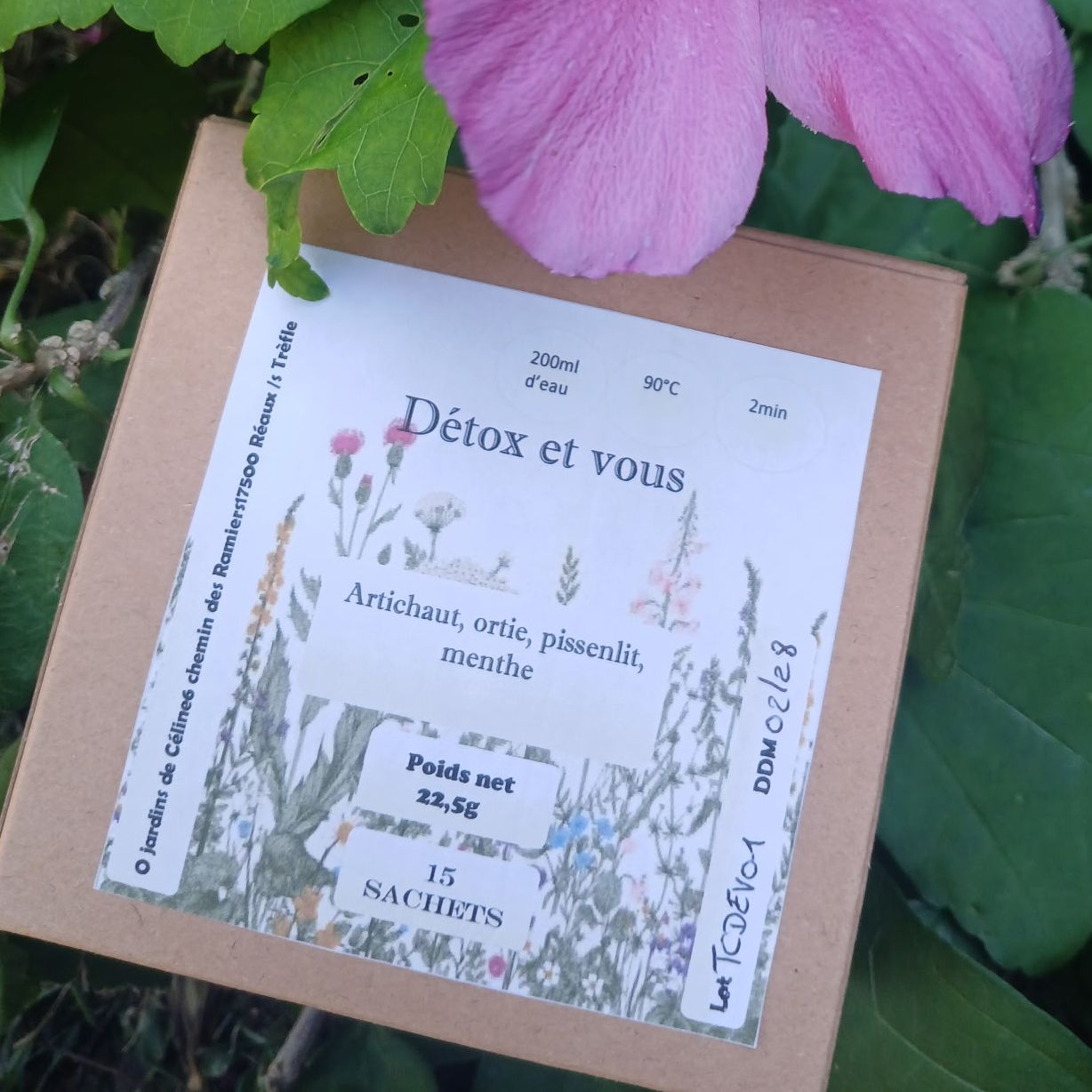 Tisane Détox et vous - 15 sachets - 22,5g