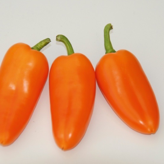 Poivrons mini snacking (500 gr)