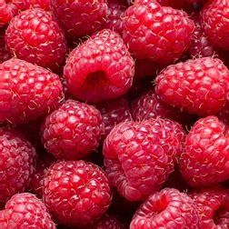 Framboises fraiches en barquette - 125g