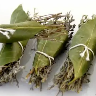 Aromatique - Bouquet Garni (non traité)