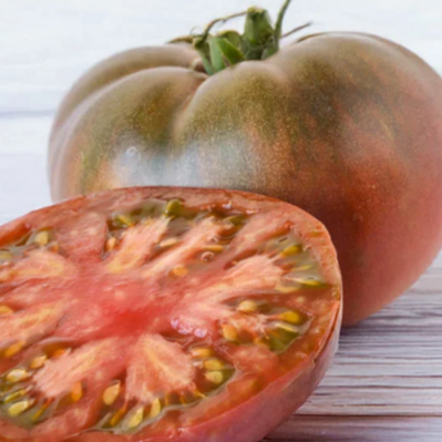 Plant de tomate - Noire de Crimée