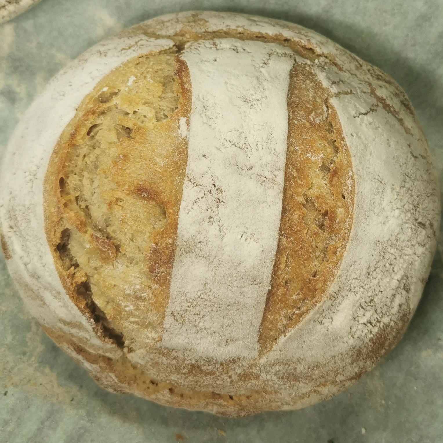 Blés anciens - 1kg - 1kg