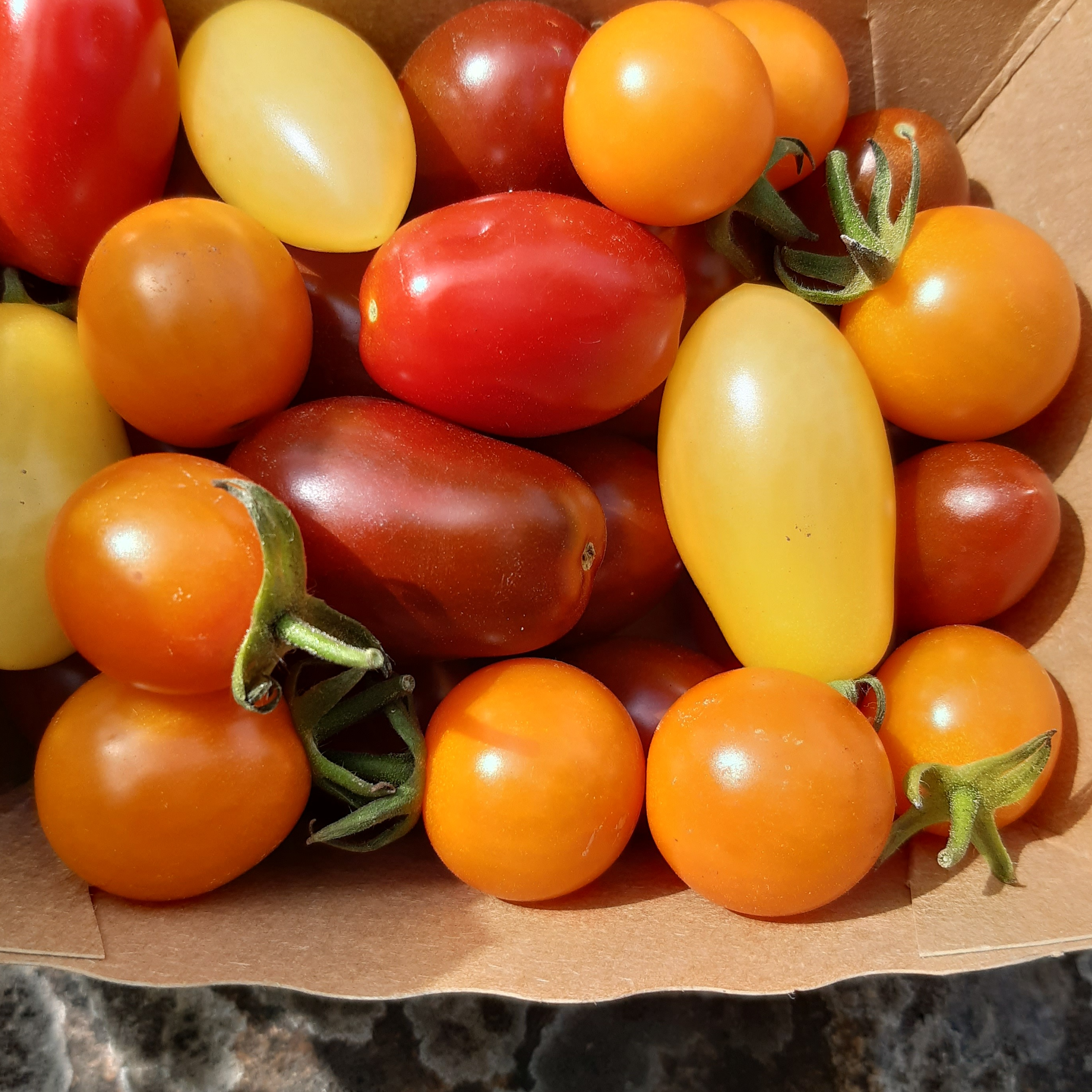 Tomate Cerise (Mélange) - 0,25kg