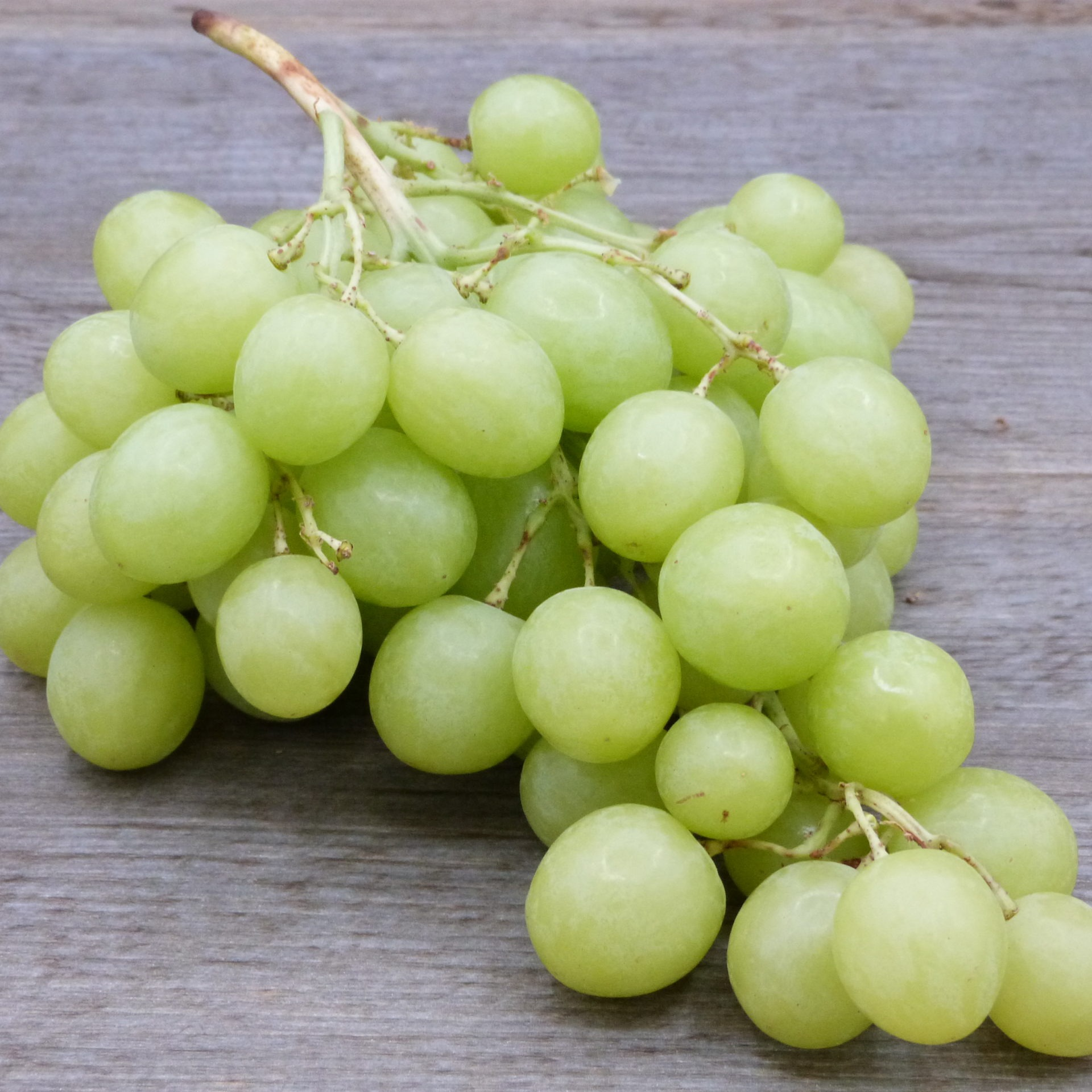Raisin Blanc (100gr)