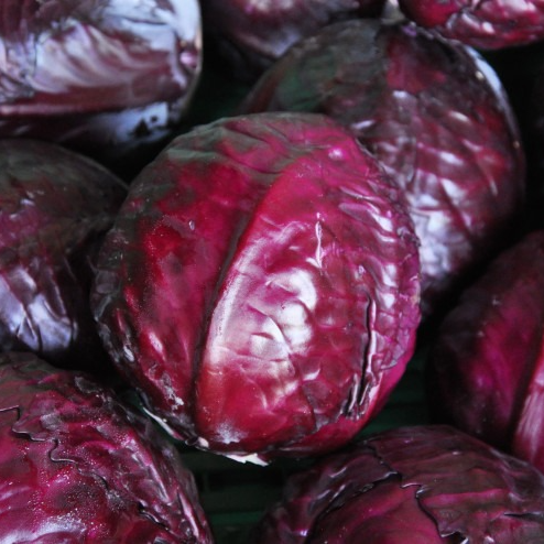 Chou rouge Bio - 1kg