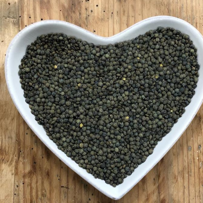 LENTILLES VERTES - 500g