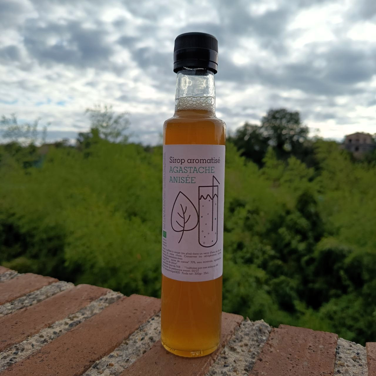 Sirop aromatisé • Agastache anisée - 250ml