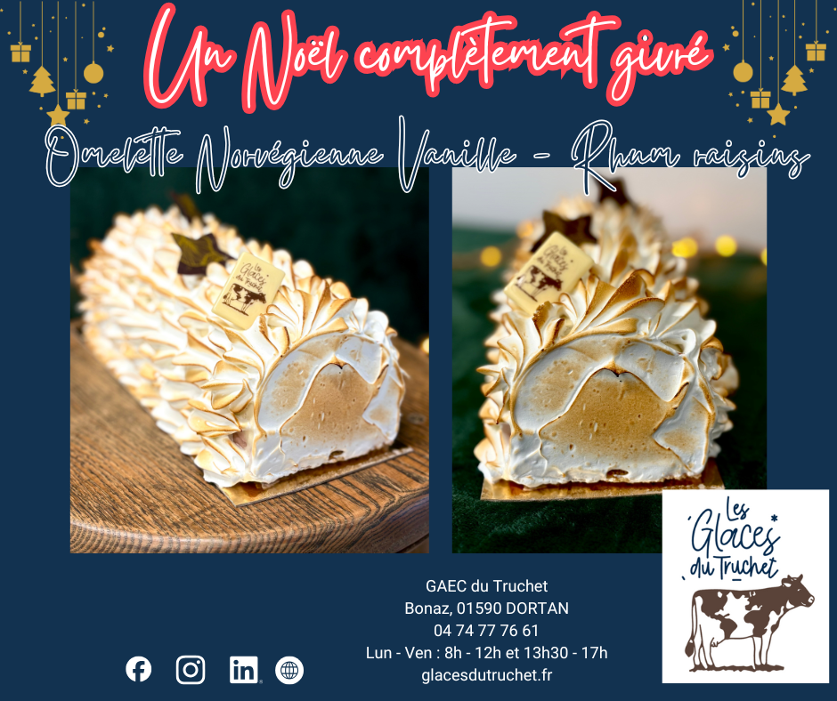 Omelette Norvégienne 8 personnes Vanille/Rhum-Raisins