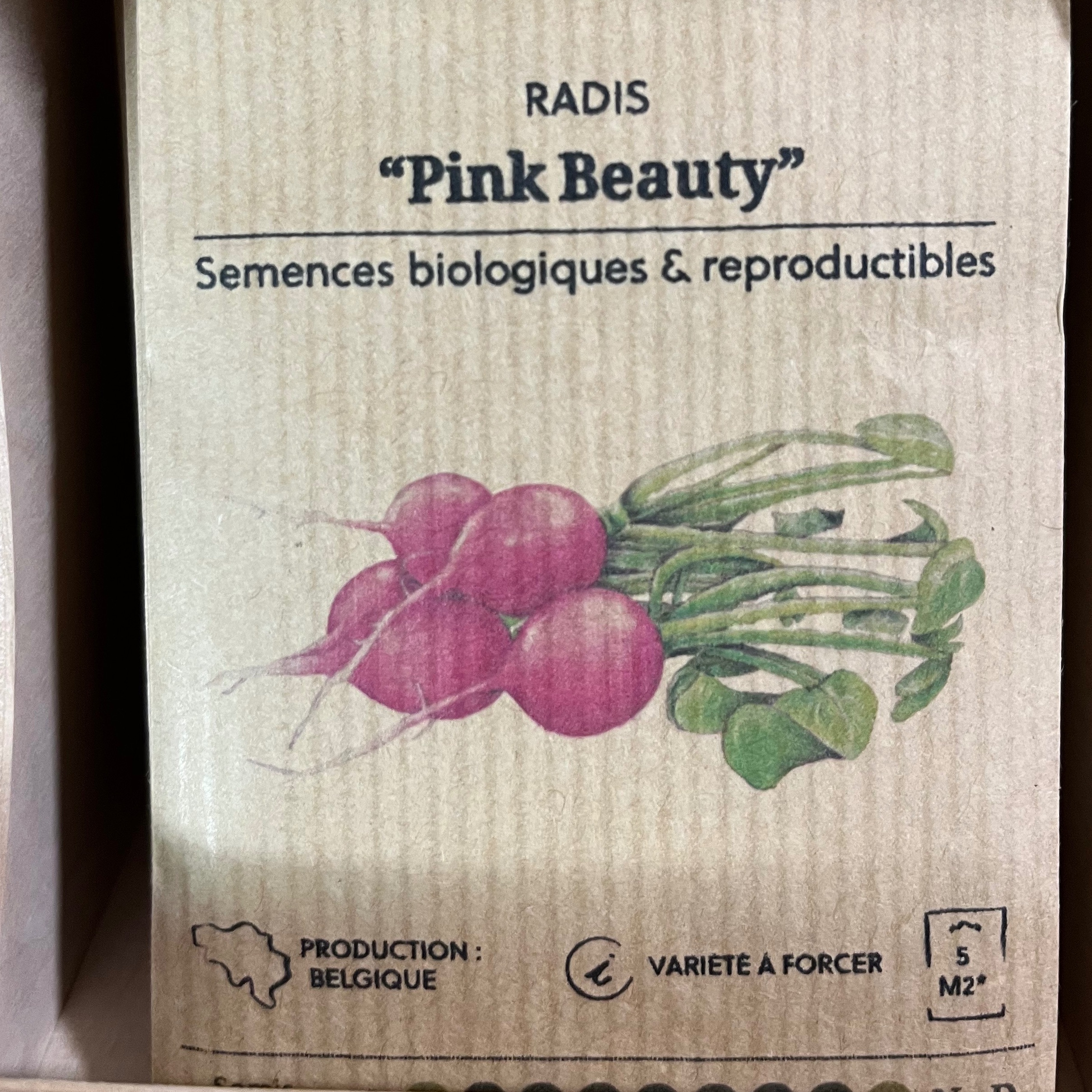 Radis "Pink Beauty"