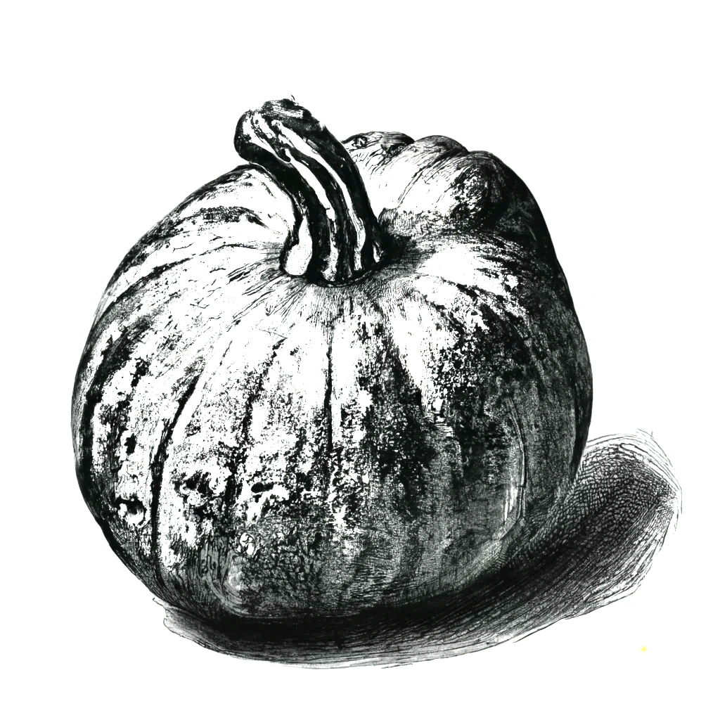 Courge Buttercup - 1 pièce
