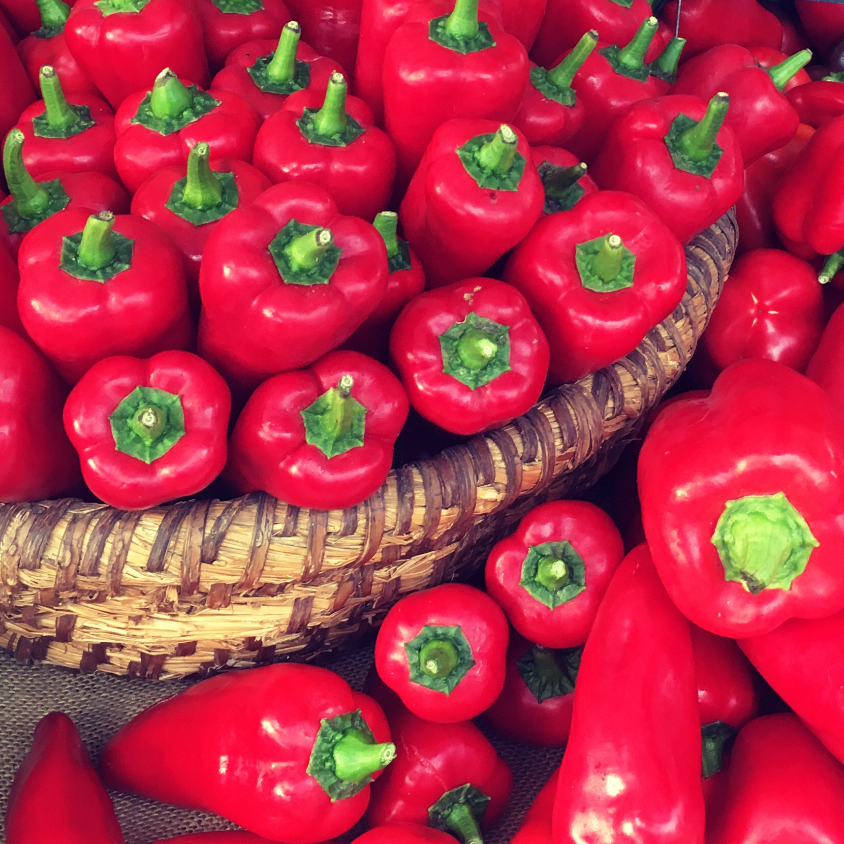 Poivron rouge