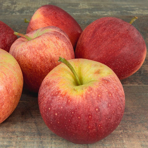 Pomme Gala Bio