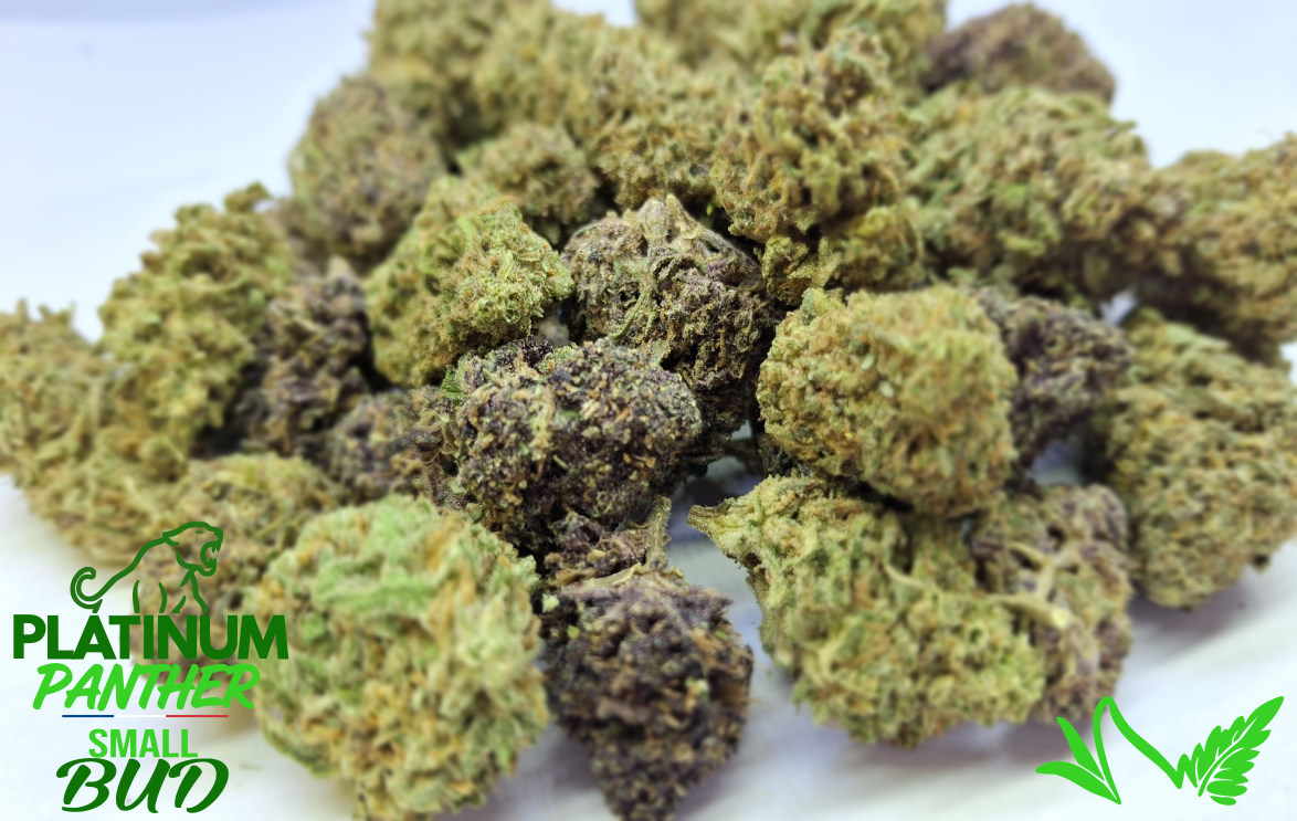 SMALL BUD PLATINUM PANTHER CBD
