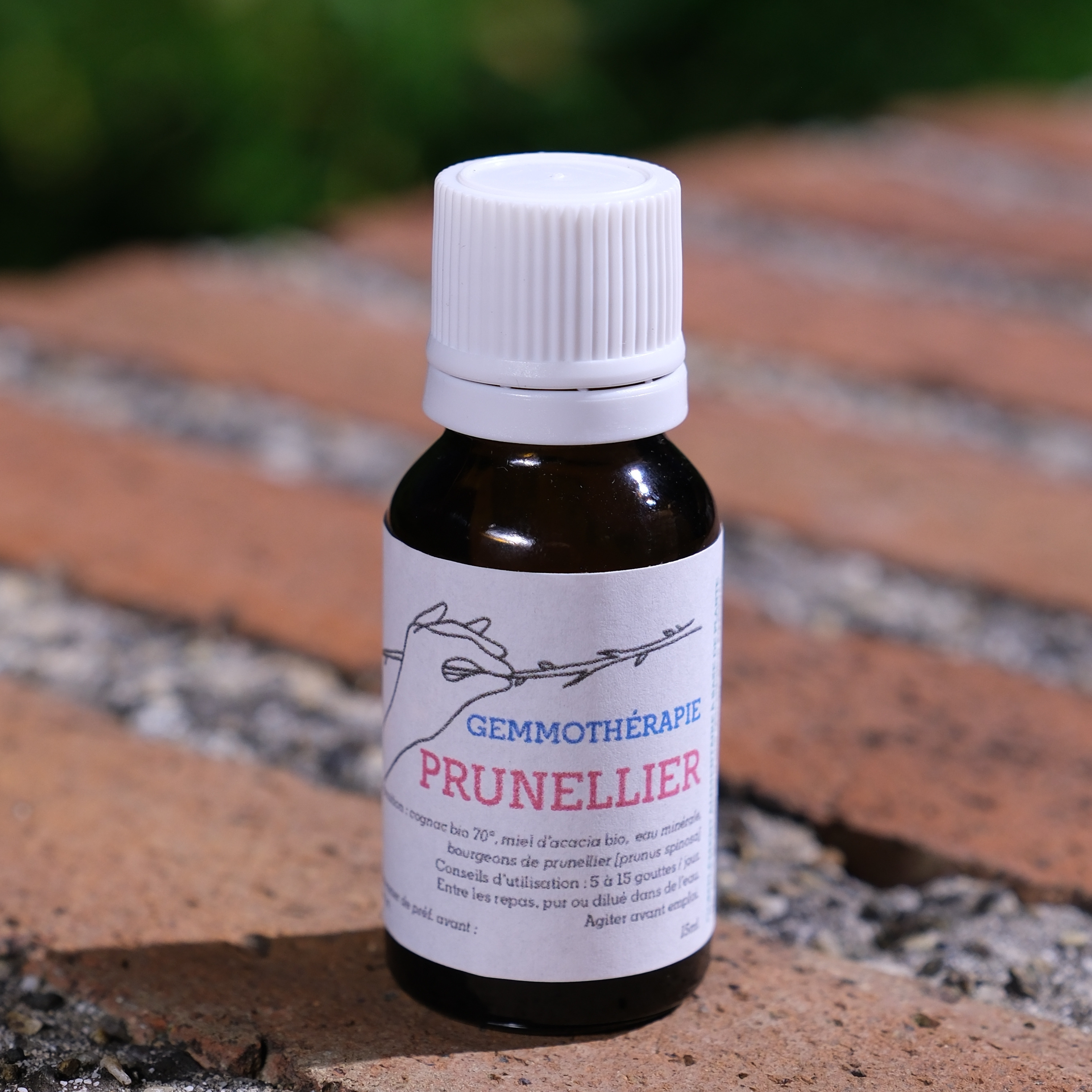 Prunellier • Vitalité & Convalescence - 15ml