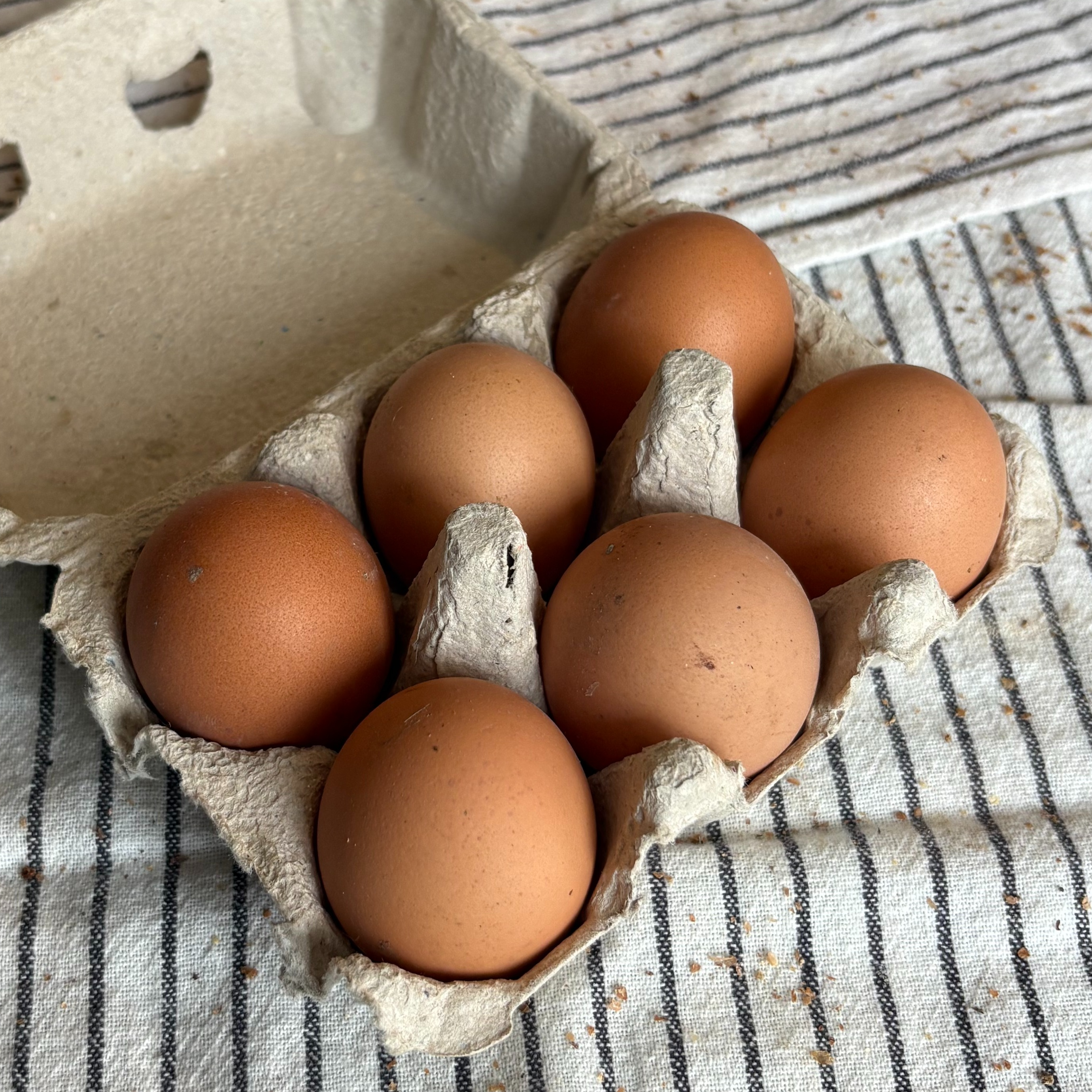 Oeufs x6 - ferme de Bellevue