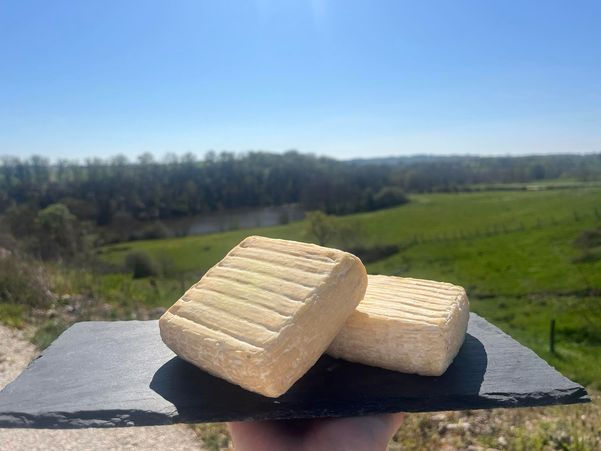 pavé de tronçais - fromage de vache