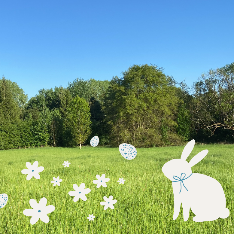 Grande Chasse aux Œufs au cœur de la nature - Enfant