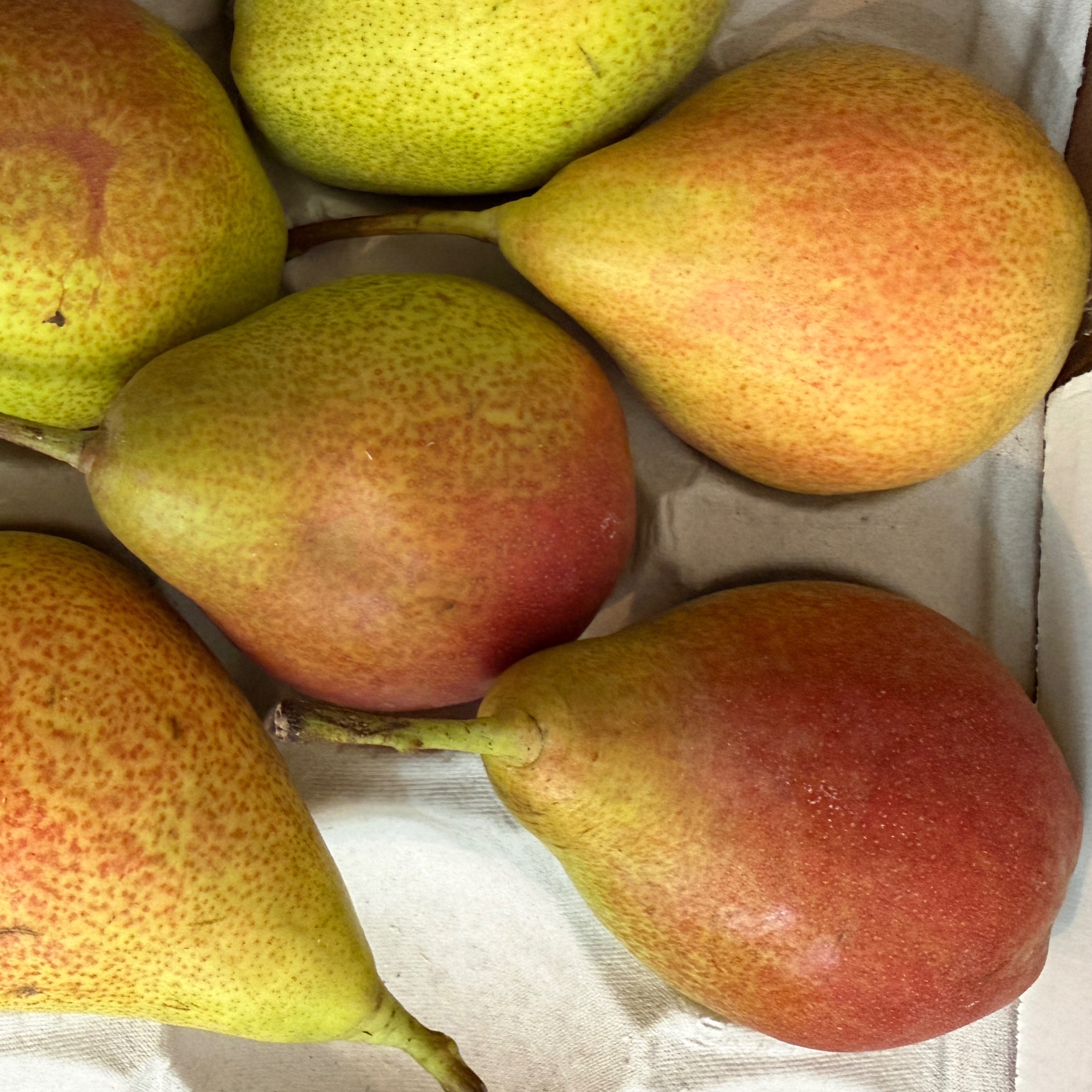 Poire Célina - 500g