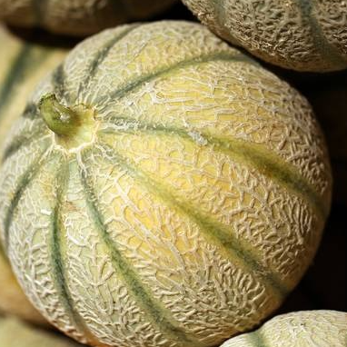 Melon