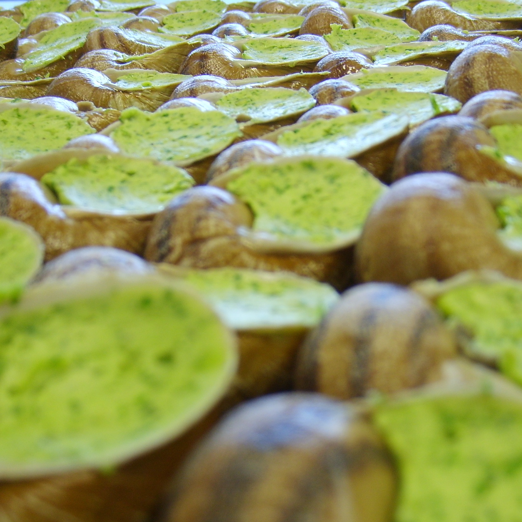 24 escargots en coquilles à la Bourguignonne