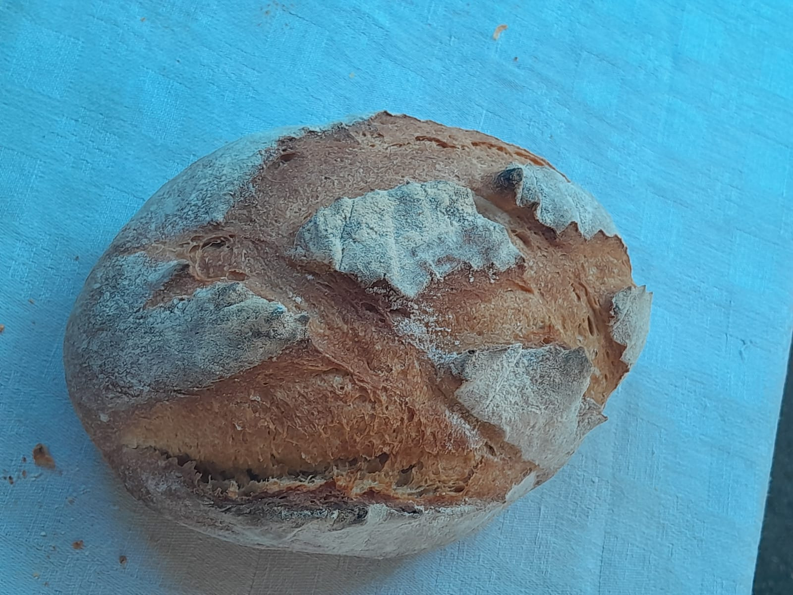 Pain de campagne - 500g