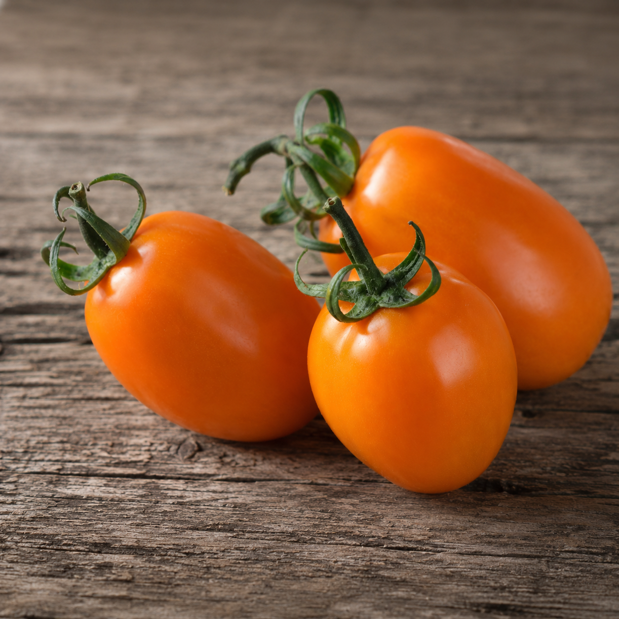 Tomate Vénus - Kg - 1kg