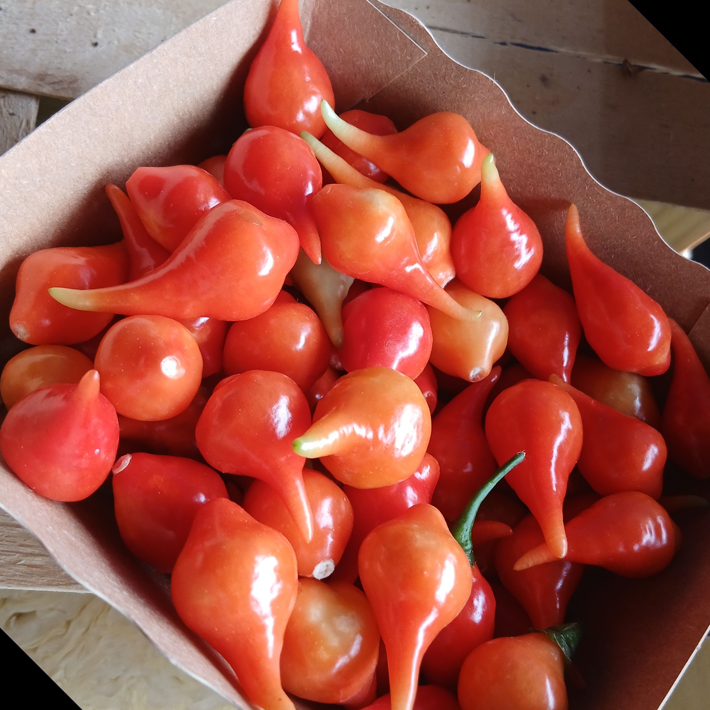 Piment peu fort - 150g