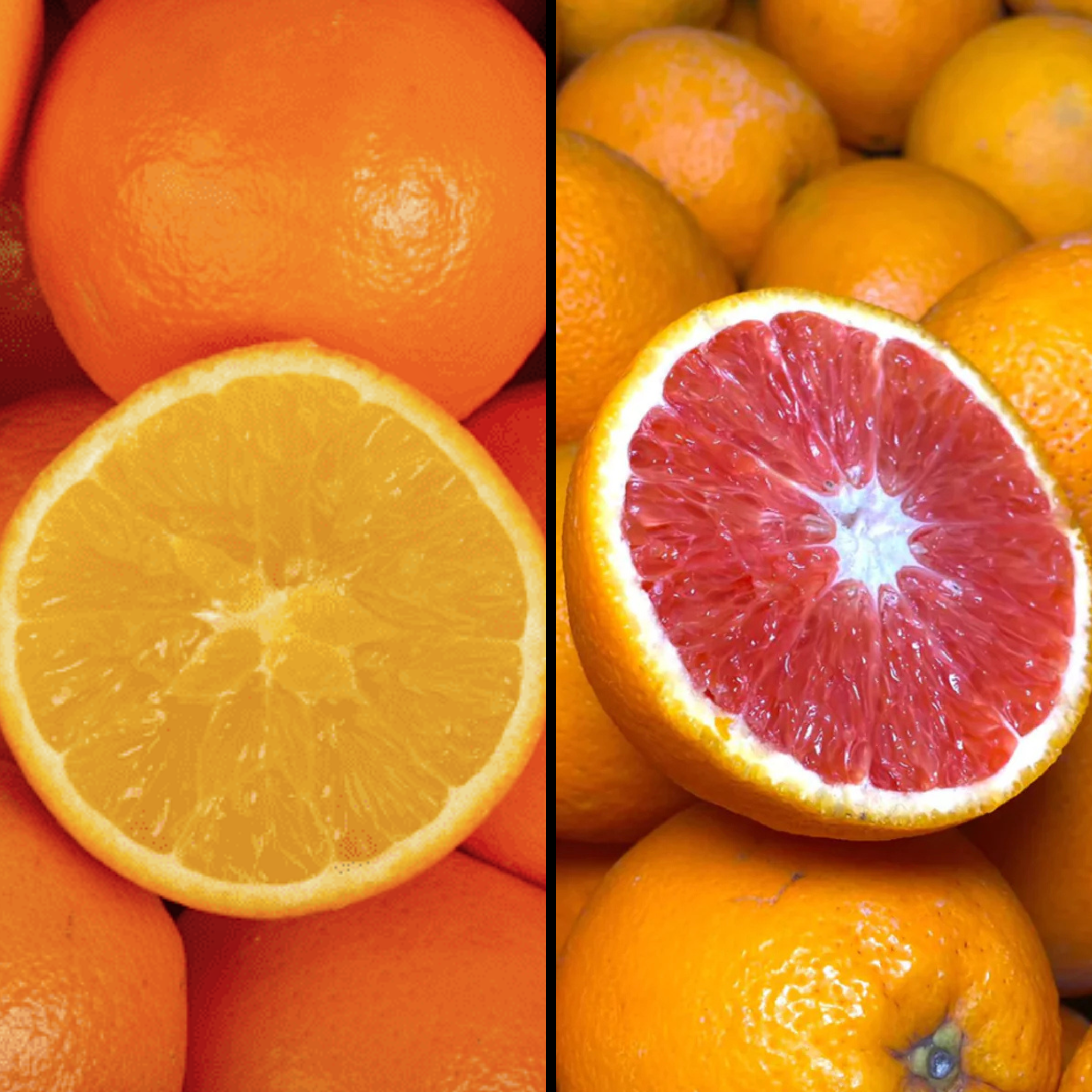 Orange chair "Orange & Rose" - 600g