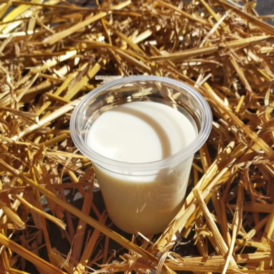 Yaourts de chèvre - panier de 6