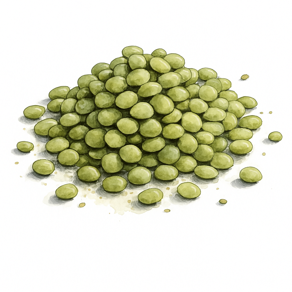 Lentille verte - Sachet - 1kg