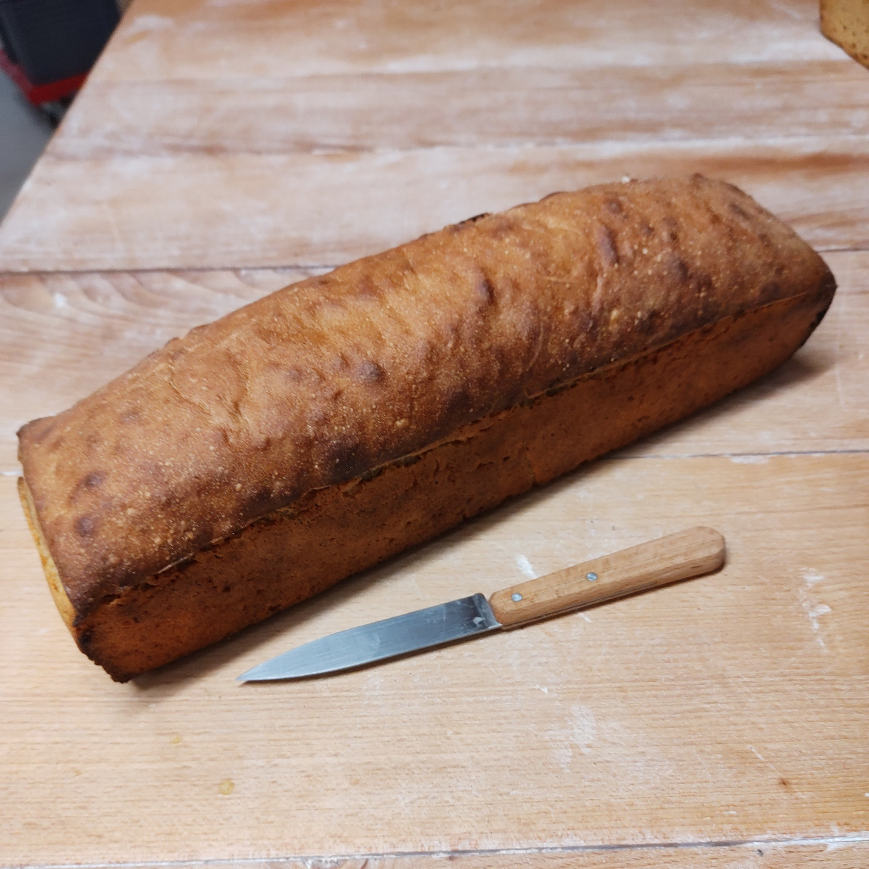 Petit épeautre 1kg moulé - 1kg