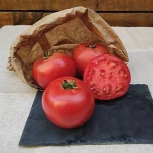Tomate Ronde Rouge Galadiant - 0,2kg