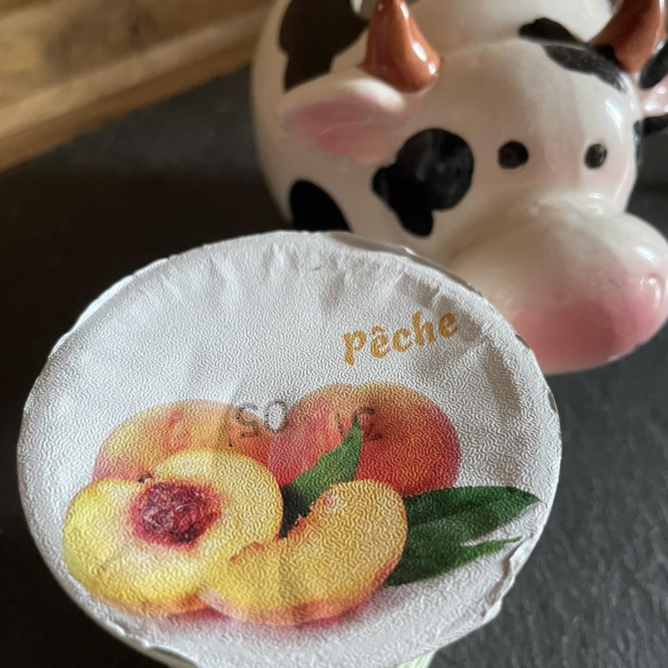 YAOURT AROMATISE PECHE - 12cl