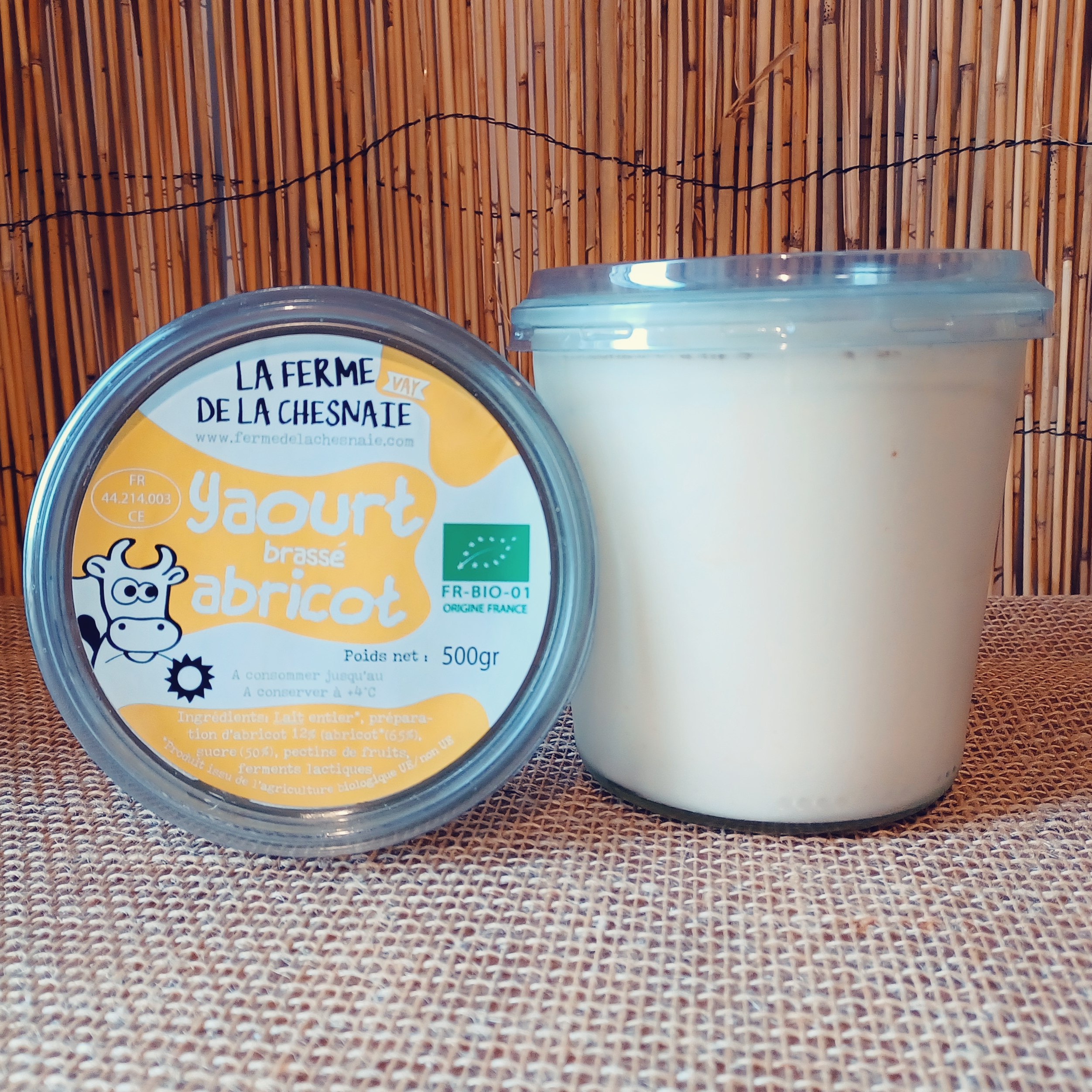 Yaourt Abricot - 500g