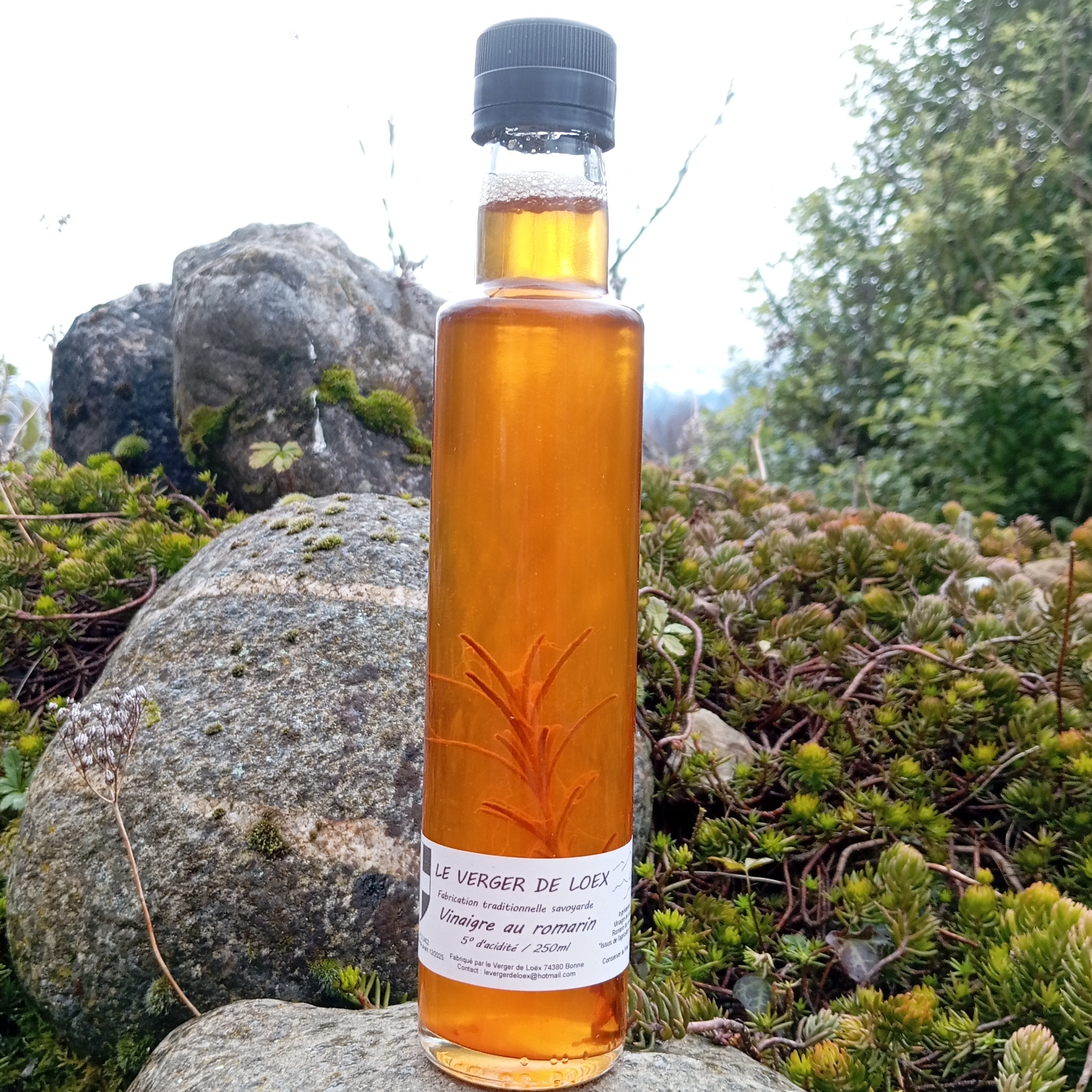 Vinaigre au romarin BIO du verger - 250ml