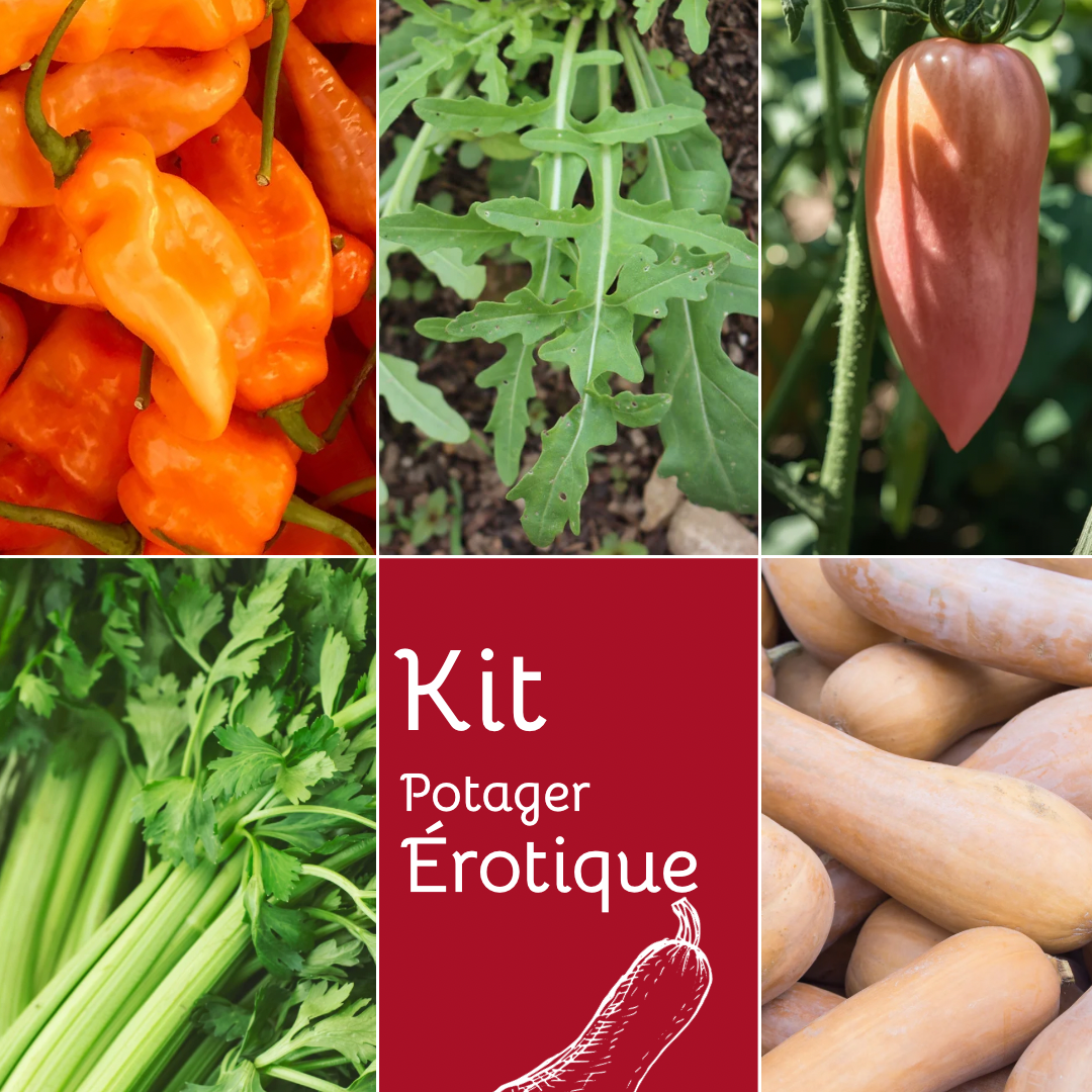 KIT POTAGER ÉROTIQUE