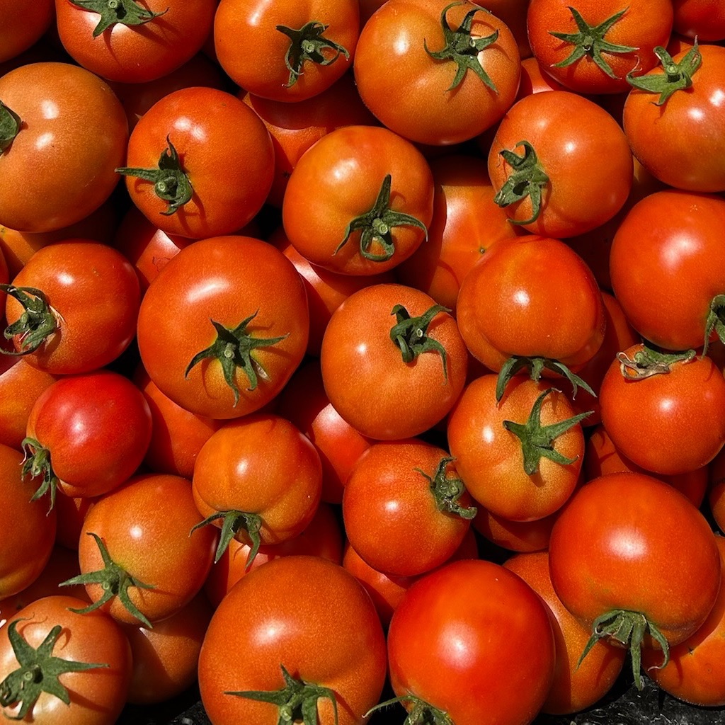 Tomate ronde