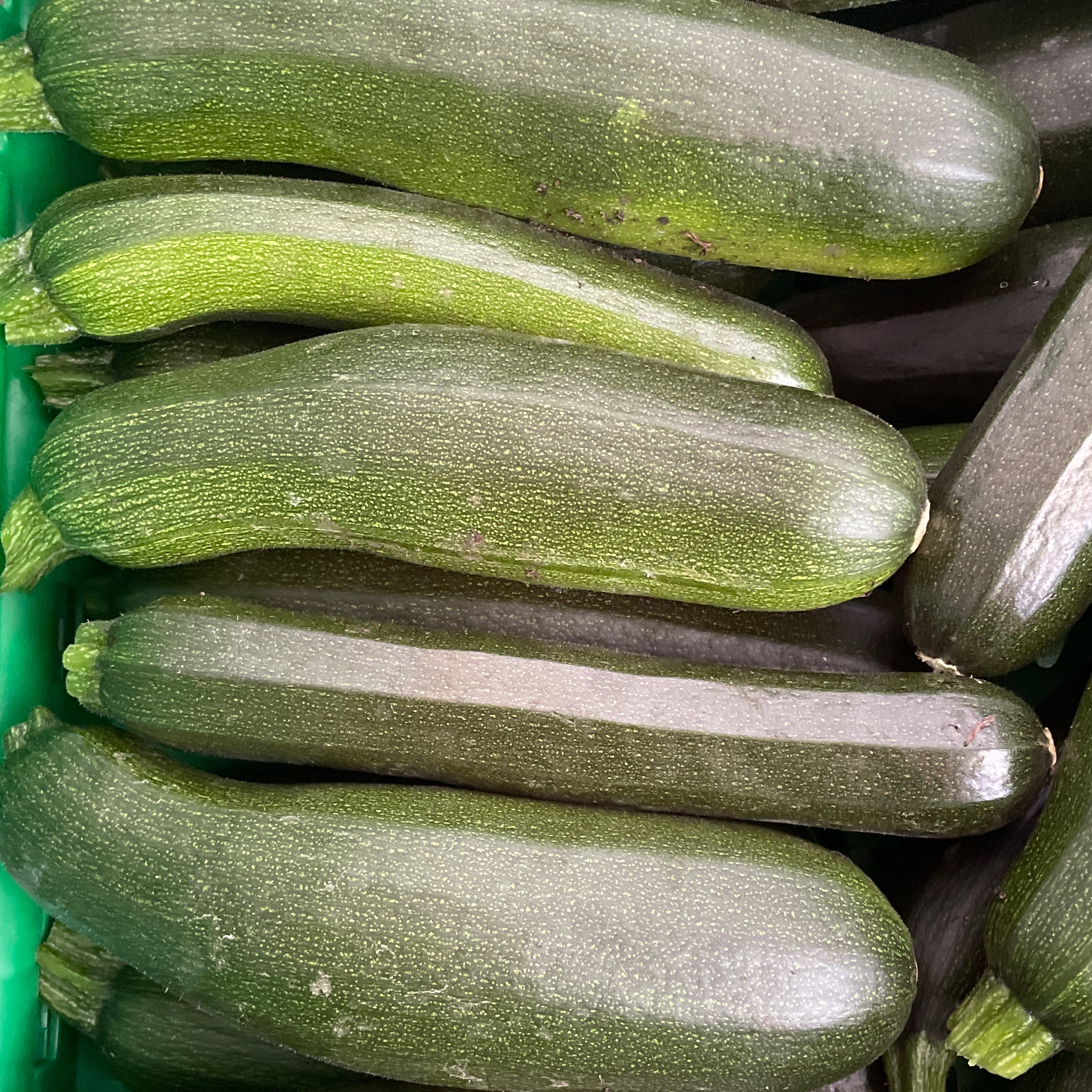 Courgette verte unitaire