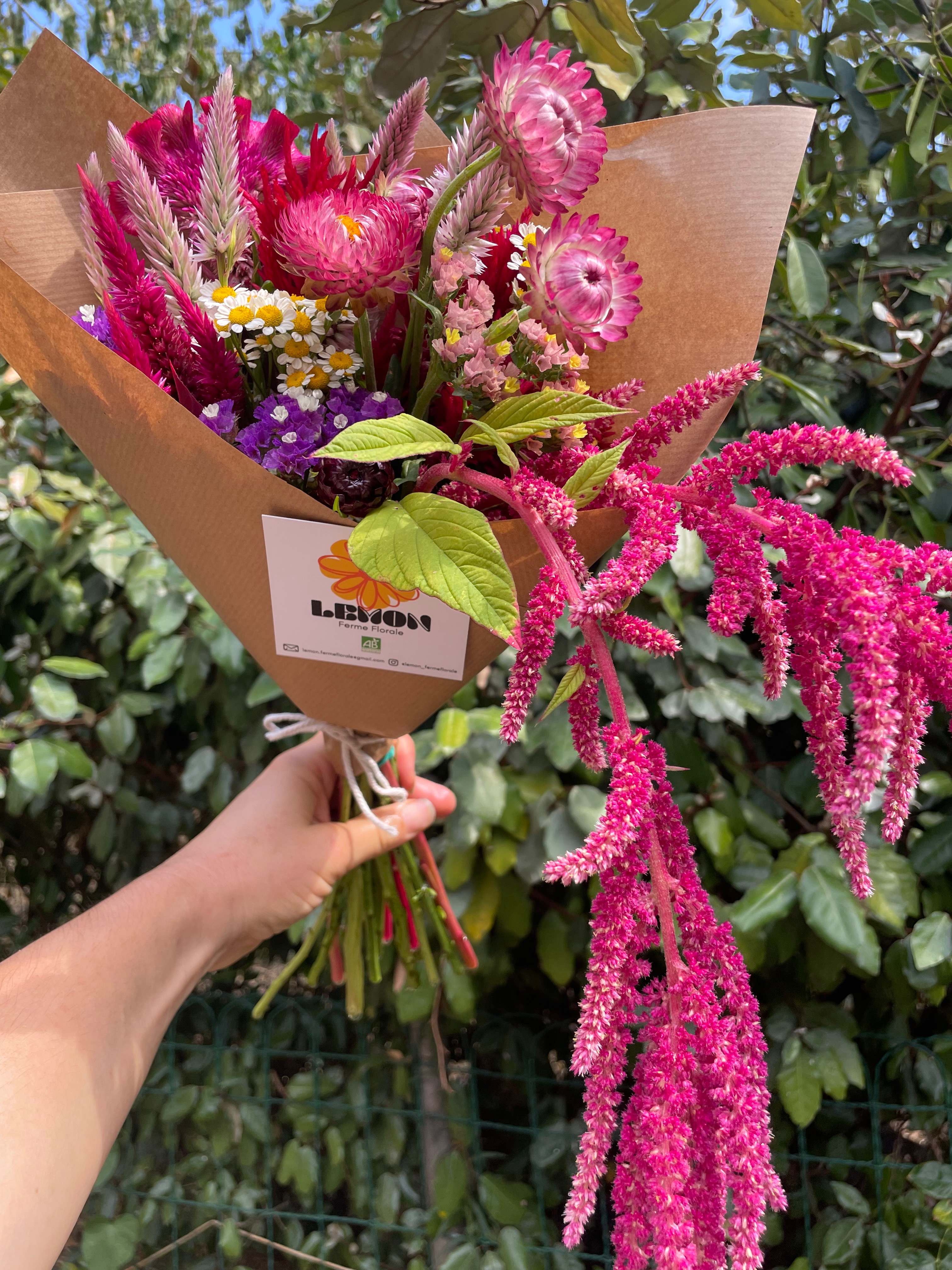 Bouquet à sécher - Moyen