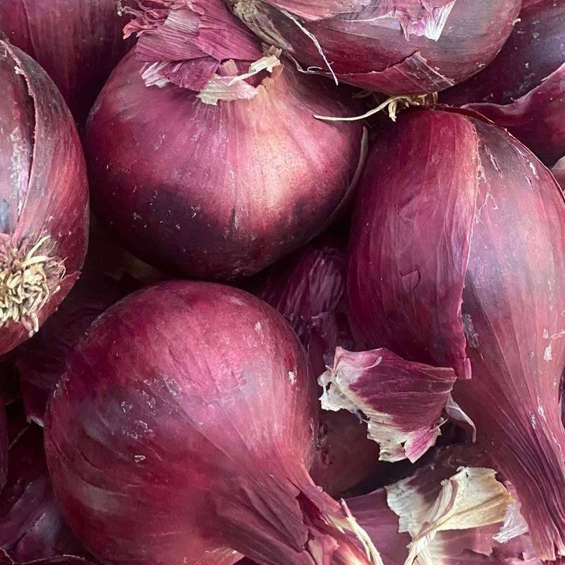 Oignon rouge - 500g