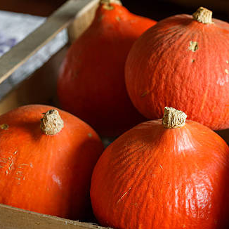 POTIMARRON HVE AU KG