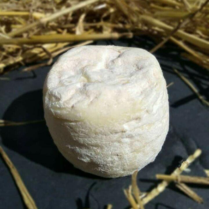 Crottin frais